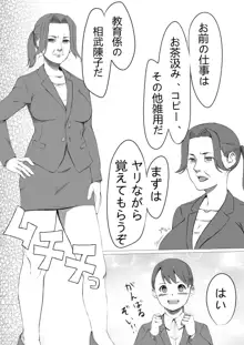 性処理係のせいこさん, 日本語