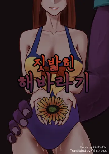 패트리온 시작했습니다., 한국어