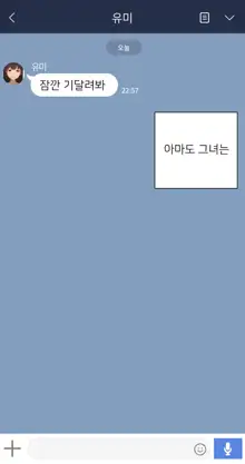 There's Something Loose in Her Head (uncensored), 한국어