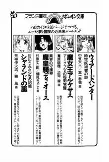 秘密のラブ☆あたっく, 日本語