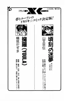 秘密のラブ☆あたっく, 日本語