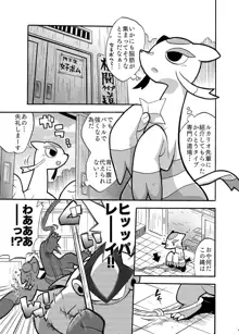 Mienshao & Lucario, 日本語