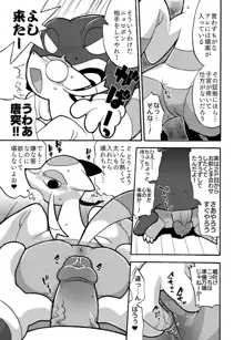 Mienshao & Lucario, 日本語