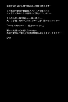 淫乱にされてしまった怪盗団と仲間たち!?, 日本語