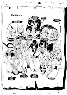 Boku no Isekai Harem Zen Iki! 15 Heroine Seiheki Yuenchi!!, 中文