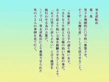 男女逆転法～いかなる場合においても女性の立場は男性より上になる～, 日本語