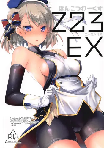 Z23EX, English