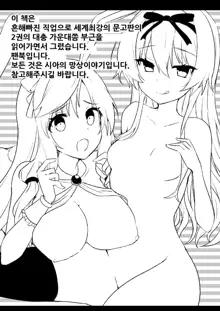 Arifureta Mousou de Nakayoku Shitekudasai!, 한국어