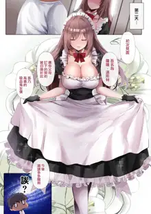 Do-S na Maid-san wa Osuki desu ka?, 中文