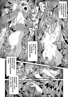 Youko Inmon Kitan 4, 中文