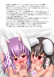 東方のエロゲー総集編, 日本語