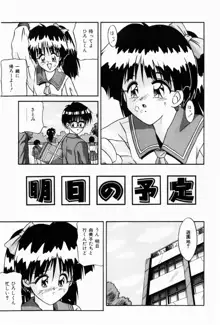 ないしょの時間, 日本語