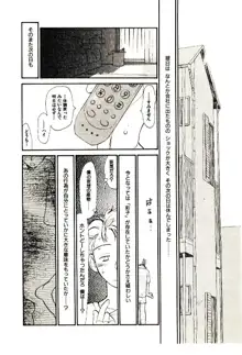 えっちーず 5, 日本語