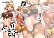 Symphogear no Usui Hon | 심포기어 얇은 책, 한국어