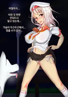 Illya to Juukan! | 이리야와 수간!, 한국어