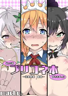 Ecchi na PriConne Bon ga Dekimashita ~Bishokuden Hen Zenpen~, English