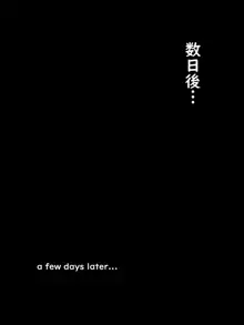 狐(にされた)魔理沙, 日本語