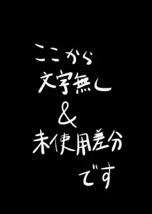 狐(にされた)魔理沙, 日本語