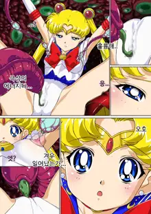 Sailor Moon Chu! | 세일러문 츄!, 한국어