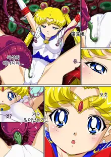 Sailor Moon Chu! | 세일러문 츄!, 한국어