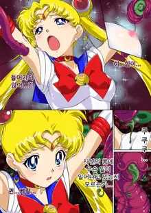 Sailor Moon Chu! | 세일러문 츄!, 한국어