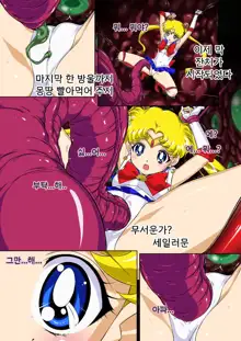 Sailor Moon Chu! | 세일러문 츄!, 한국어