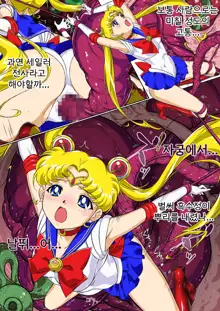 Sailor Moon Chu! | 세일러문 츄!, 한국어