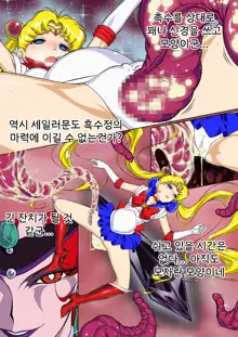 Sailor Moon Chu! | 세일러문 츄!, 한국어