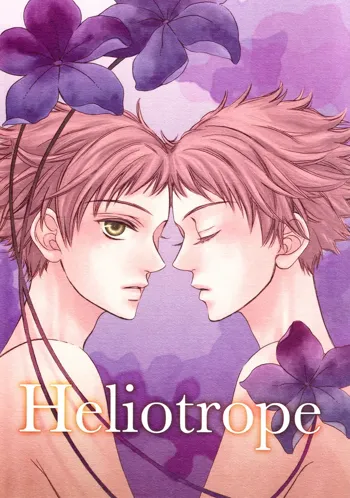 Heliotrope, English