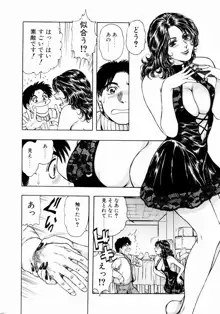 お姉さんの乳ホール, 日本語