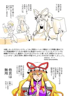 東方プラグマタイザー31東方キャラコスチュームチェンジ（さらに剥き）イラスト集, 日本語