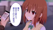 セックススマートフォン～ハーレム学園編総集編～, 日本語