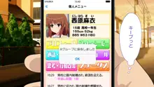 セックススマートフォン～ハーレム学園編総集編～, 日本語