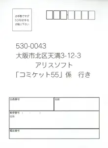 アリスのでんちばくだん Vol. 02, 日本語