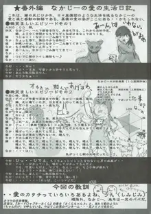 アリスのでんちばくだん Vol. 09, 日本語