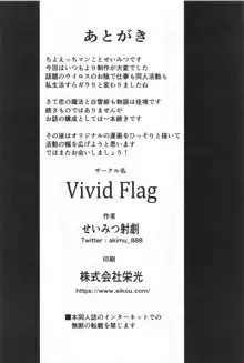 [Vivid Flag, 中文