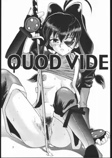 QUOD VIDE, 日本語