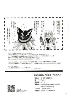 Curiosity Killed the CAT, 日本語