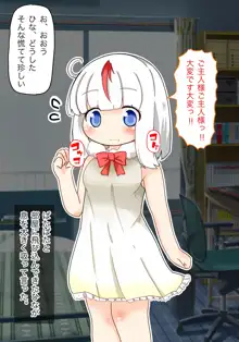 ひなちゃんと一緒, 日本語