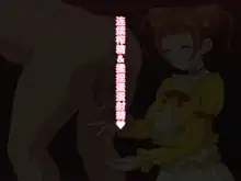 Ojou-sama no Oshasei Pet, 中文