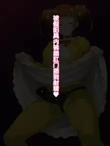 Ojou-sama no Oshasei Pet, 中文