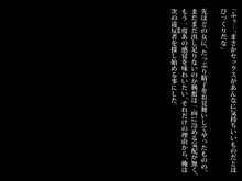 歩きスマホは条例違反！見つけたら問答無用で即ハメ生中出し！, 日本語