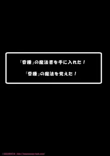 冒険者に試し打ちされちゃうの魔法屋さん, 日本語