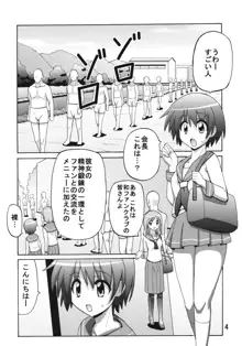 のどっちふーか, 日本語