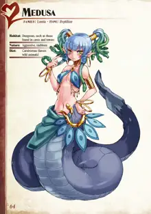 Monster Girl Encyclopedia Vol. 1, English