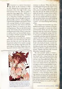 Monster Girl Encyclopedia Vol. 2, English