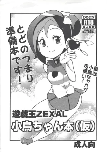 遊戯王ZEXAL小鳥ちゃん本, 日本語