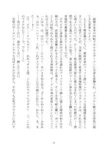 異海特捜ネレイディア The Novel, 日本語