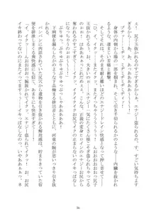 異海特捜ネレイディア The Novel, 日本語