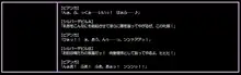 ○年期ピ○ンカ凌辱図姦～天空の淫獄堕落嬢～, 日本語